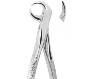 Extracting Forceps English pattern